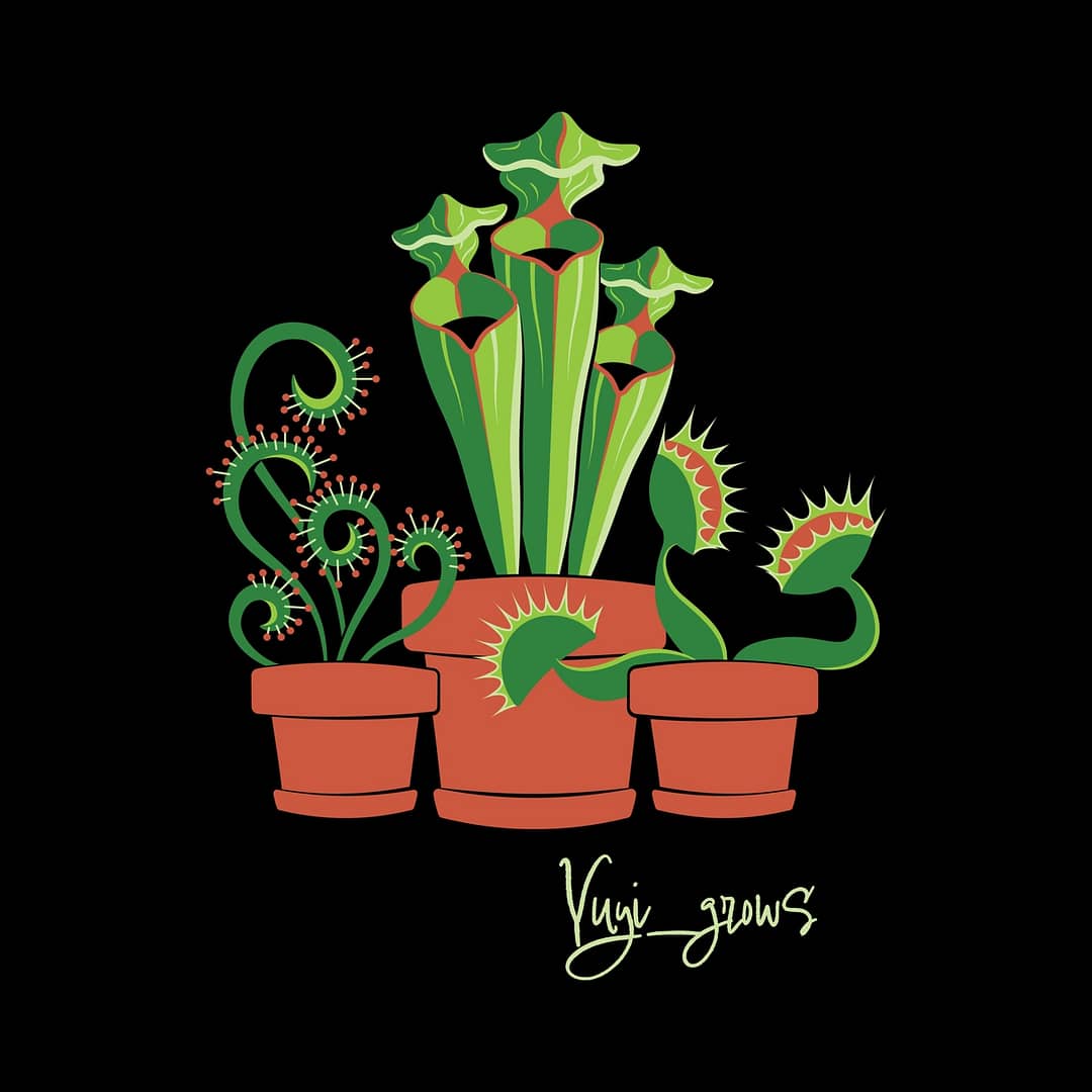 A design of three carnivorous plants against a black background