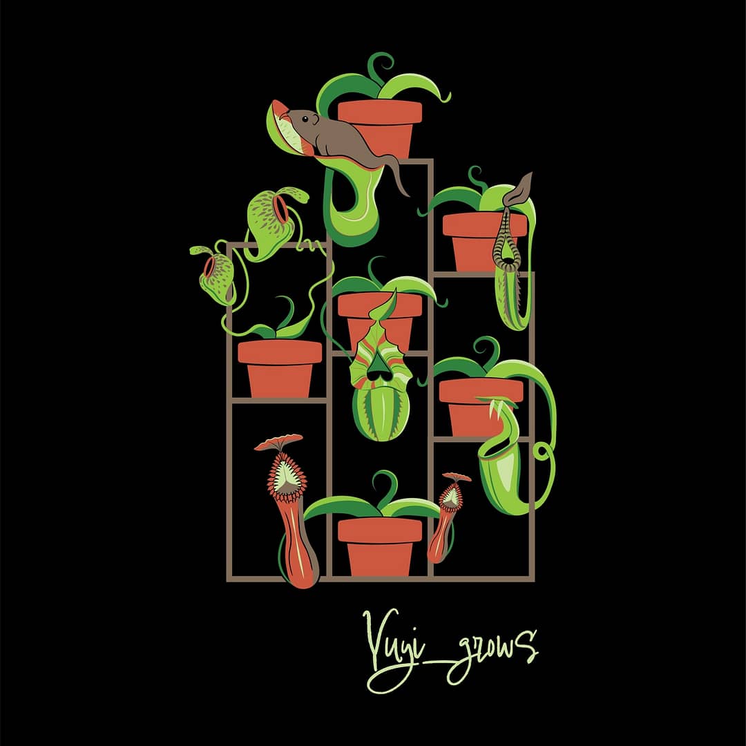 A design of carnivorous plants against a black background, each plant on a stacked brown shelf