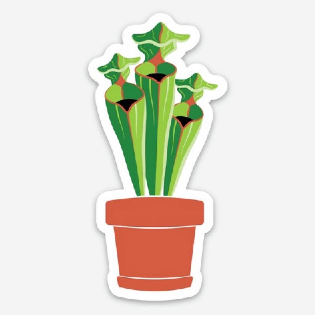 A sticker of a Nepenthes aristolochioides plant in an orange pot