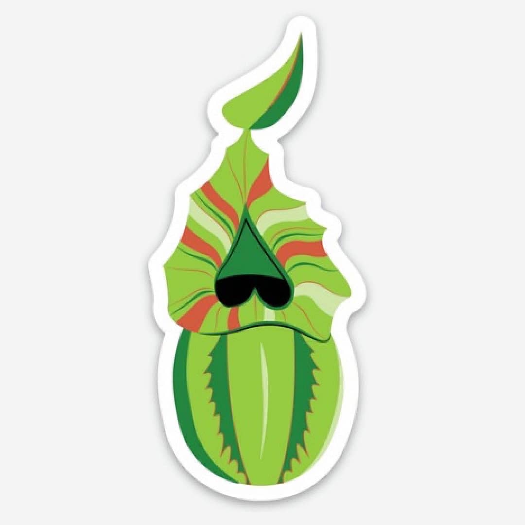 A sticker of a Nepenthes veitchii plant