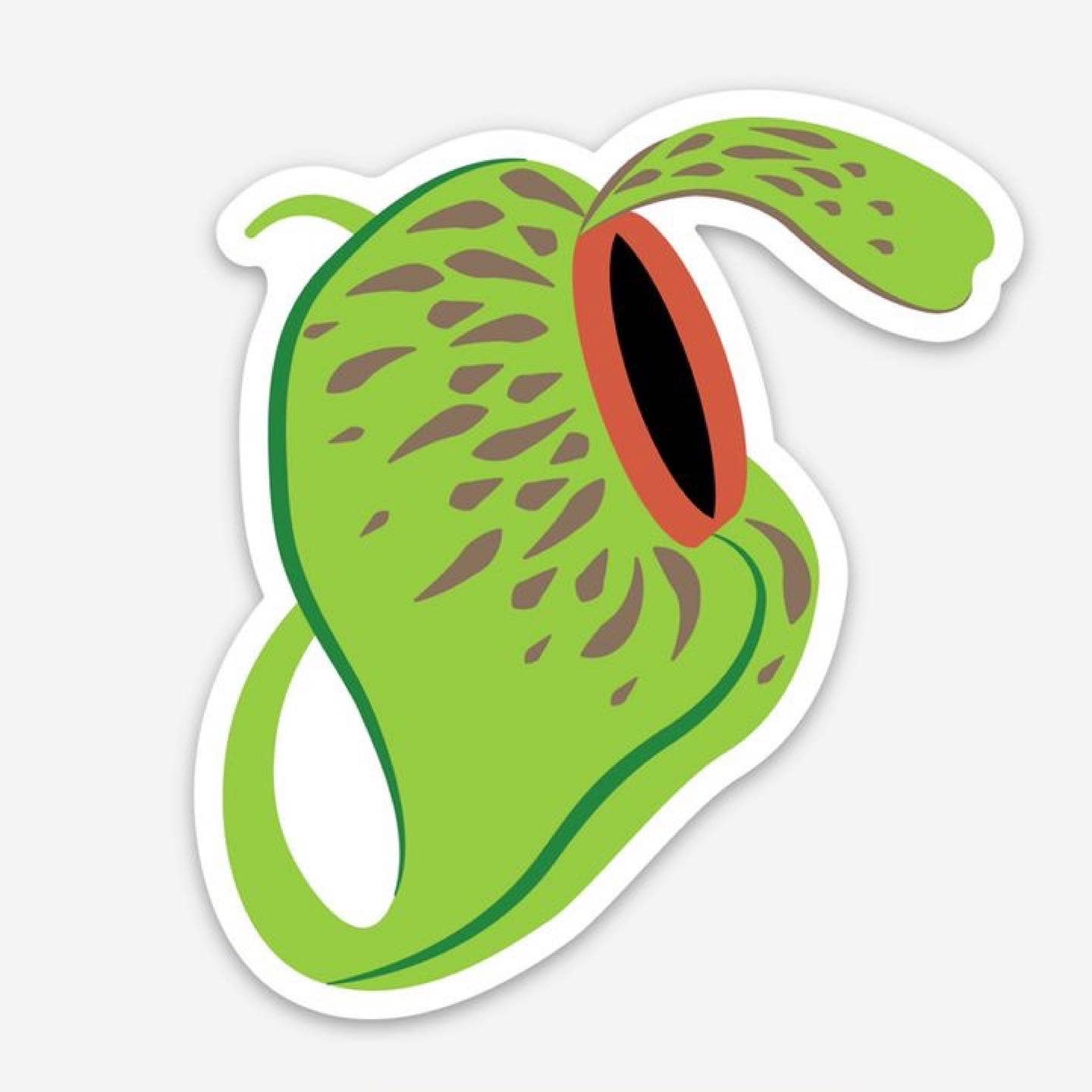 A sticker of a Nepenthes aristolochioides plant