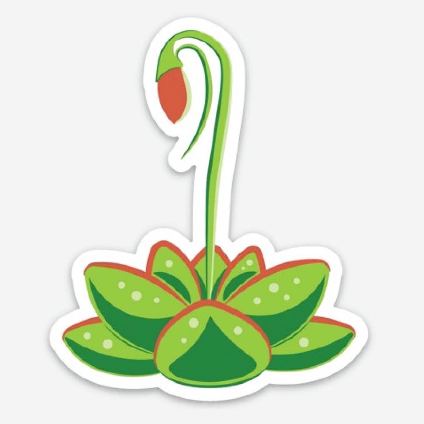 A sticker of a Pinguicula plant